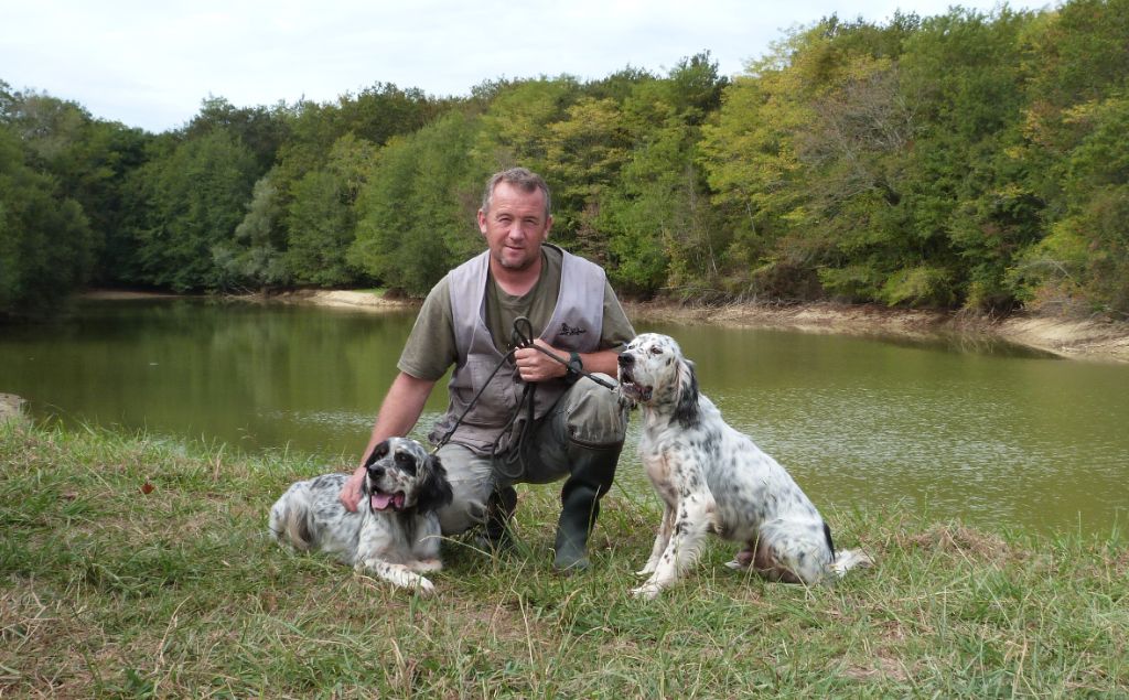 Mes chiens