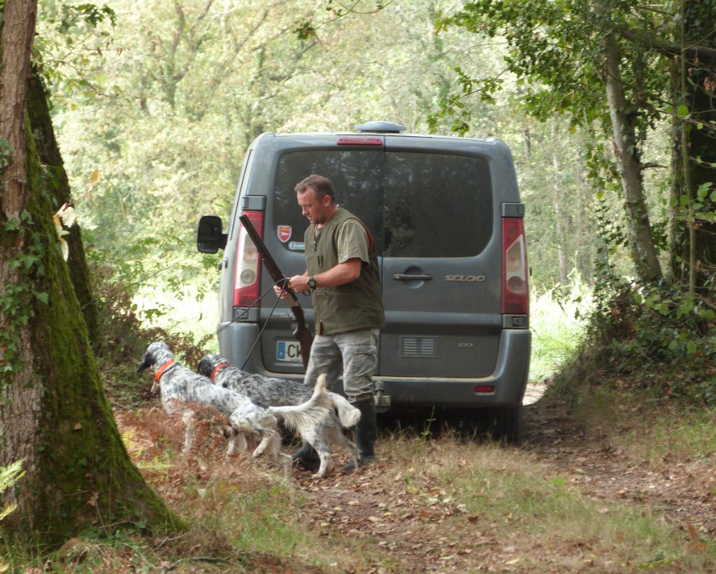 Chasse
